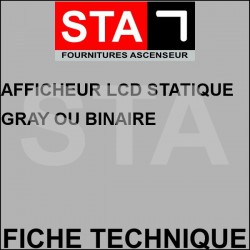 Afficheur lcd statique gray ou binaire