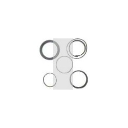Set of piston seals D.110
