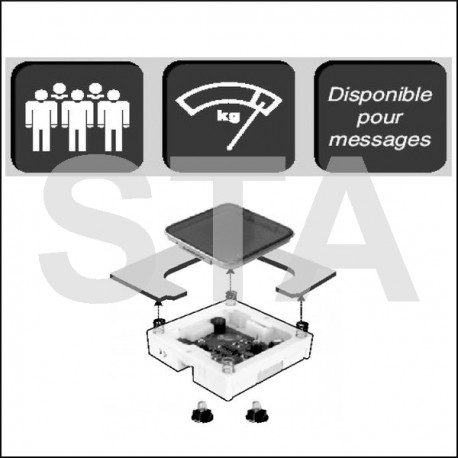 Afficheur de charges avec ronfleur