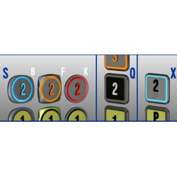 Button with raised numerals...