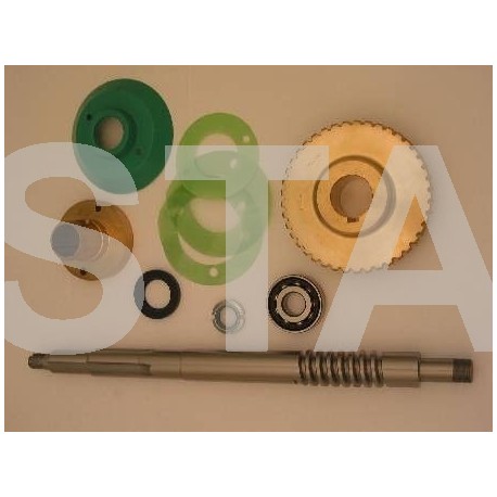 M02621A1 WORM SHAFT & WORM WHEEL (INCL. BEARINGS, SEALS, COVERS) FOR 6BT & 6BD M/C