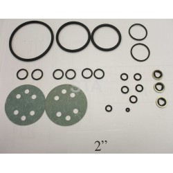 H902946 Valve Seal Kit 2"