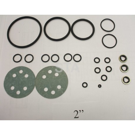 H902946 Valve Seal Kit 2"