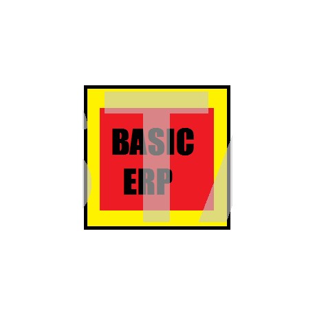 BASIC ERP
