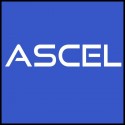 ascel Rectifiers, microswitches