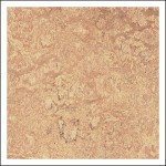 Tapis de sol
